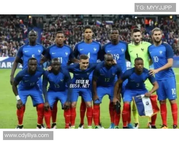 杭州羽毛球队进攻革新之路探索与实践的深度剖析